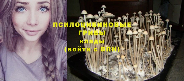 МДМА Арсеньев